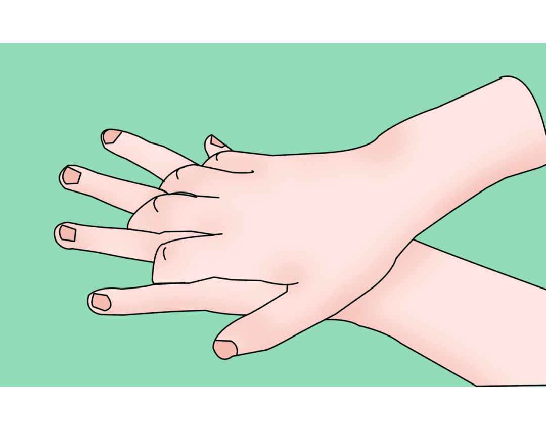 （外）：手心对手背沿指缝相互揉搓，双手交换进行。