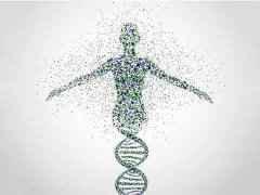 基因可预测人类死亡时间？死亡早已天注定？