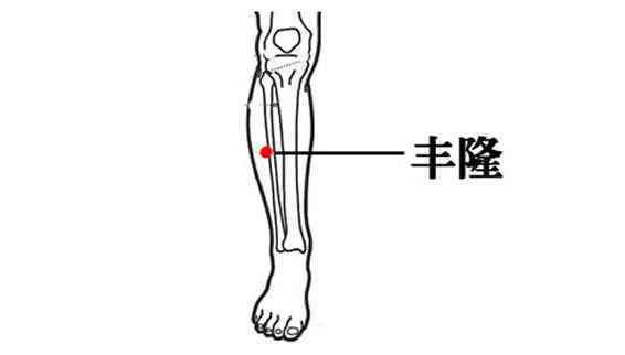 丰隆穴