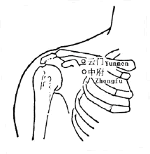 乳房最喜欢什么食物？保养乳房可以按摩这里！