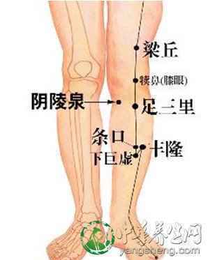 经长按摩五个穴位可延年益寿