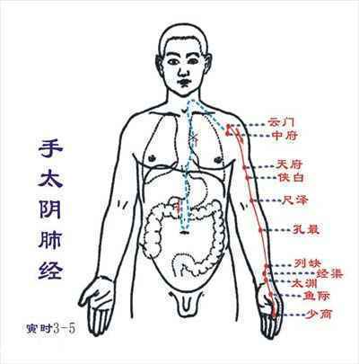 肺经让你皮肤不再干燥 巧用经络排毒养颜