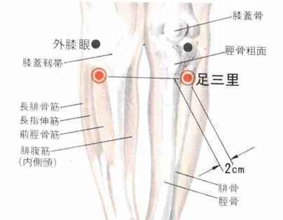 急救时经常用到的六个穴位