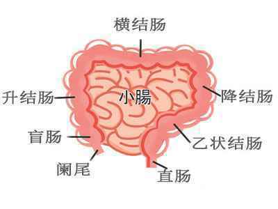 伟哥等治疗ED的药物或可用于肠癌病人 降低死亡风险