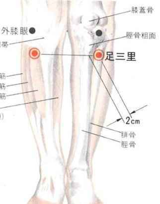 中医按摩可治疗多种疾病