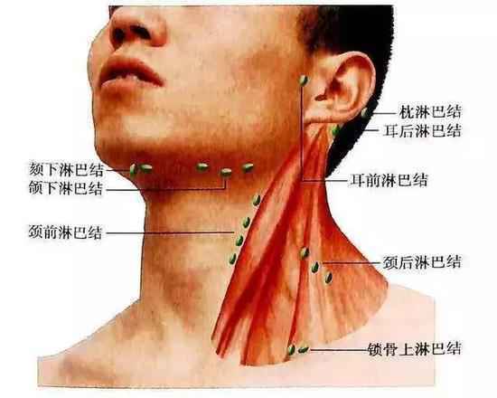 男子耳后长小疙瘩不在意 半年后检查已变癌症