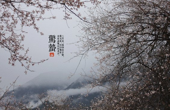 QQ图片20150302110031.png