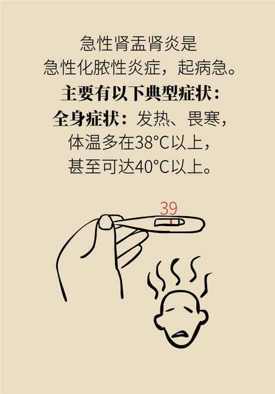 经常憋尿会得急性肾炎？保护肾脏要做到这几点