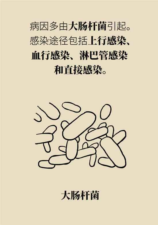 经常憋尿会得急性肾炎？保护肾脏要做到这几点