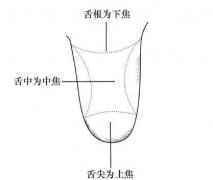 舌头暗藏玄机 你会从舌下脉络看舌苔吗？