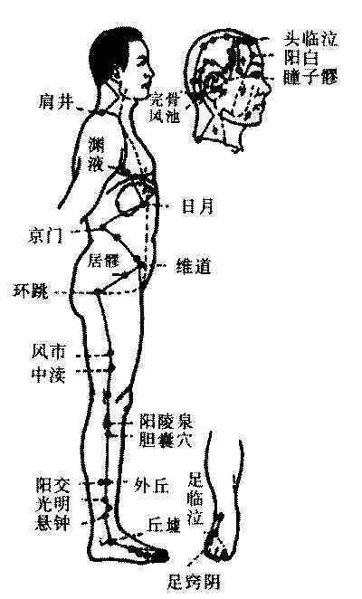 子时当令的胆经