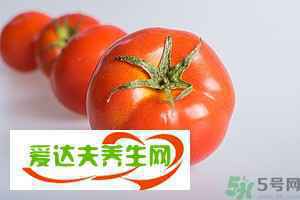 西红柿热量
