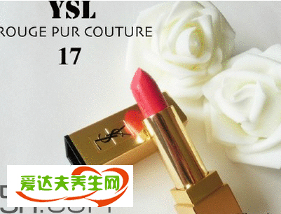 ysl13