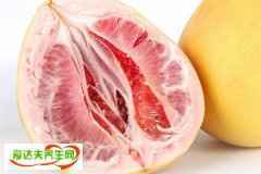 葡萄柚可以减肥吗 葡萄柚减肥原理