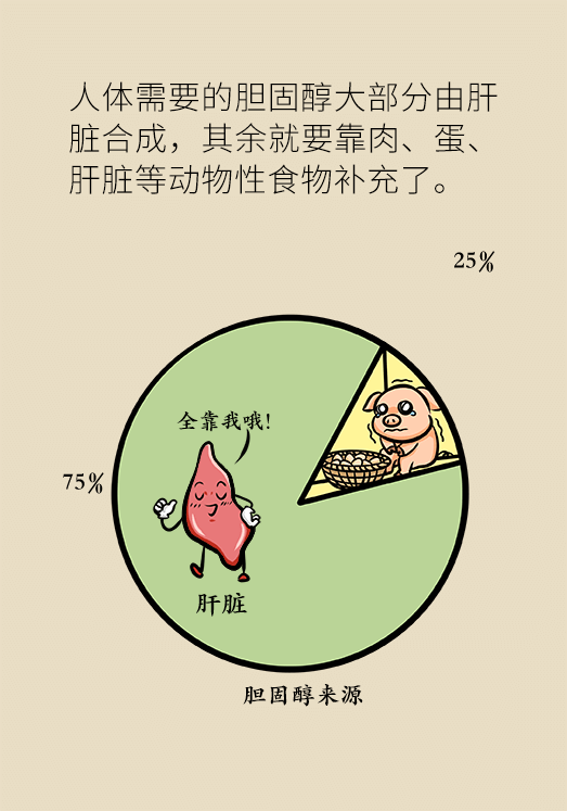 爱吃鸡蛋的人，胆固醇都会过高吗？