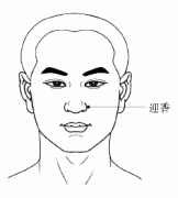 1个穴位解决鼻塞困扰