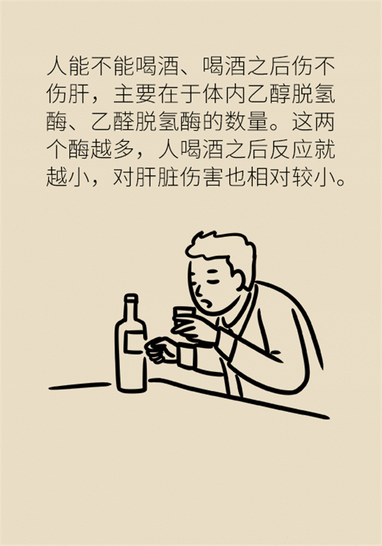 喝酒之后会伤肝？这个因素很重要