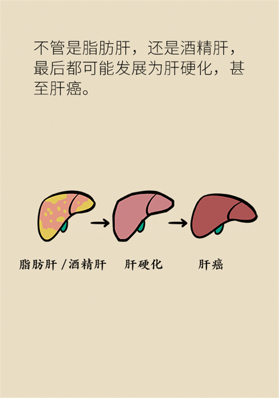 喝酒之后会伤肝？这个因素很重要