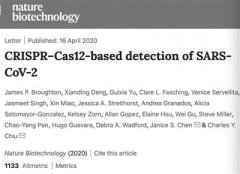 基于CRISPR的新冠病毒快速诊断技术出现