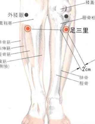 养生长按4穴位 身体强健不生病