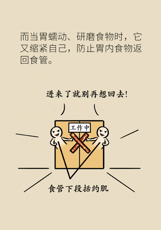 总是反酸、烧心怎么办？