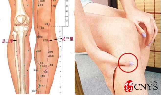 8个穴位治8种常见病 记住一生受益