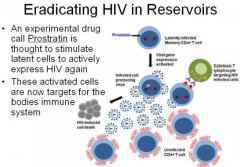 HIV感染者为什么要每天准时服药？