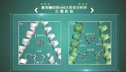 看清它的结构，人类有望“完美”对抗抑郁