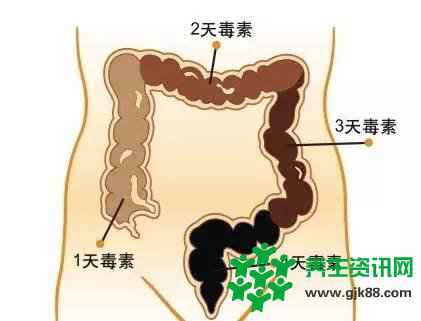 绝对神奇的道家养生法：大白菜刮肠排毒法