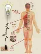 生物电经络超前诊断技术详解！
