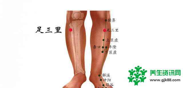 中医针灸详解足三里穴