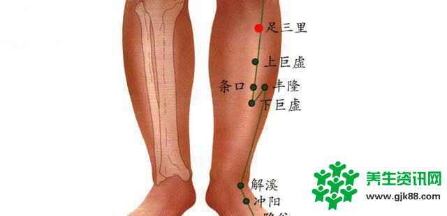 中医针灸详解足三里穴