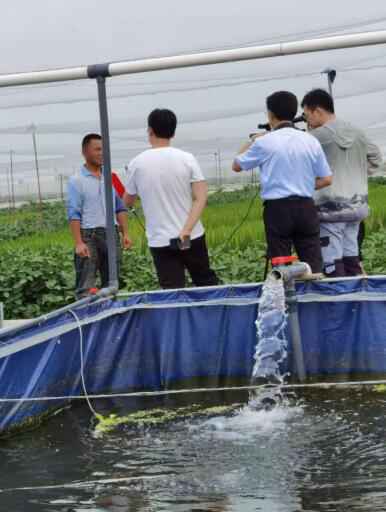 当下市场青蛙养殖项目 市场需求广泛