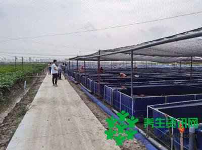 田盛源生态农场，提供专业养殖技术