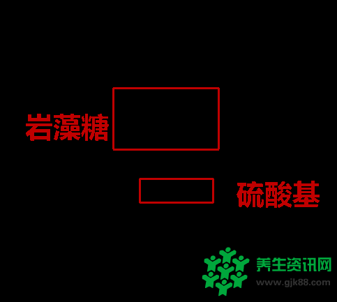 重磅！国内外报道岩藻多糖含有抗新冠病毒活性