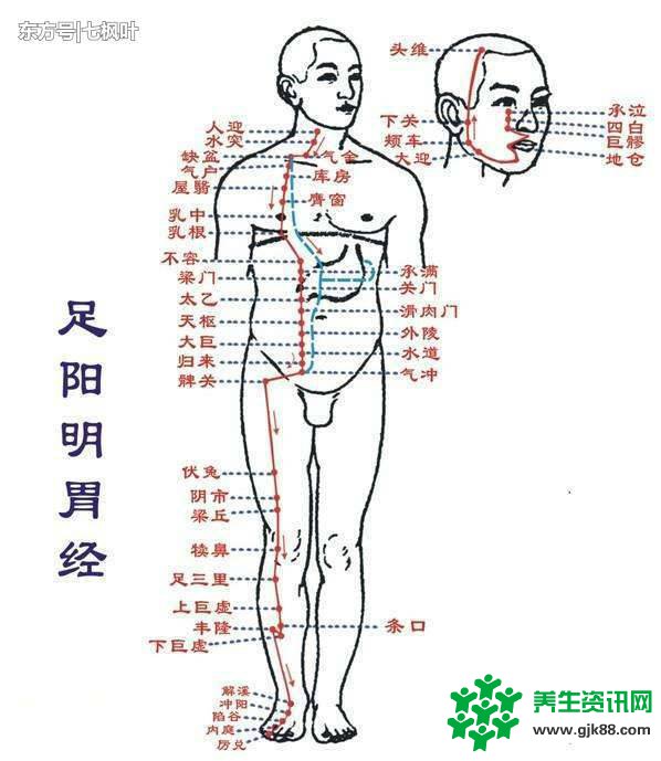 不容忽视经络对养生的重要性怎样才能确认身体