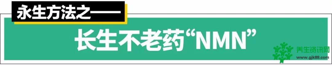 永生方法7则