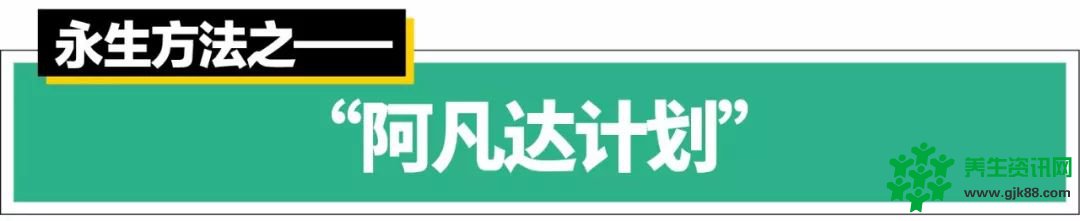 永生方法7则