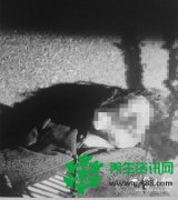 张店交警发布3则认尸启事 死者两男一女