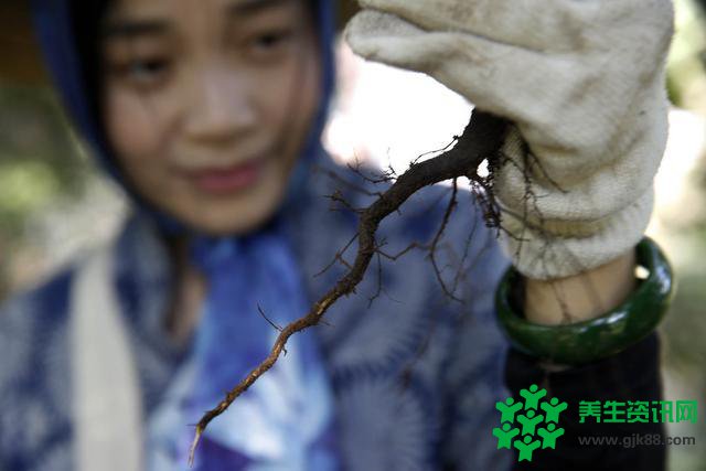 夫妻逃离繁华闹市去到深山过上男耕女医的隐居